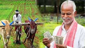 PM Kisan Yojana : शेतकऱ्यांसाठी दिवाळीची भेट; पीएम किसान योजनेबद्दल मोठी अपडेट समोर, २४ वा हप्ता कधी मिळणार?