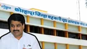 गोकुळ दूध संघाचा अध्यक्ष कोण होणार? महायुतीच्या खेळीने सतेज पाटलांचं टेन्शन वाढलं; नेमकं काय घडलं?