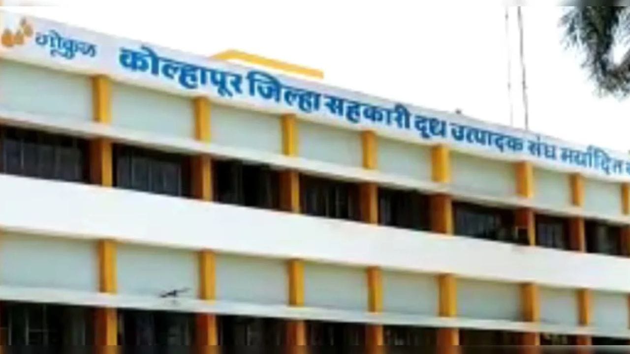 Gokul Election : गोकुळ दूध महासंघाच्या मतदानाला सुरुवात, मतदारांची लगबग वाढली, उद्या कोण गुलाल उधळणार? Gokul Election : गोकुळ दूध महासंघाच्या मतदानाला सुरुवात, मतदारांची लगबग वाढली, उद्या कोण गुलाल उधळणार?