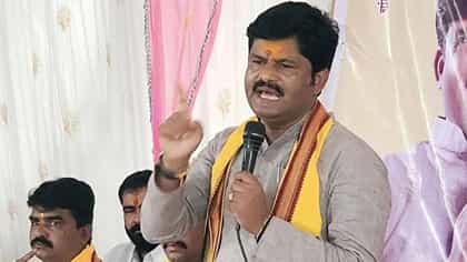 रोहित पवारांचं डोकं मेंढराच्या डागनीने डागलं पाहिजे, पडळकर संतापले.