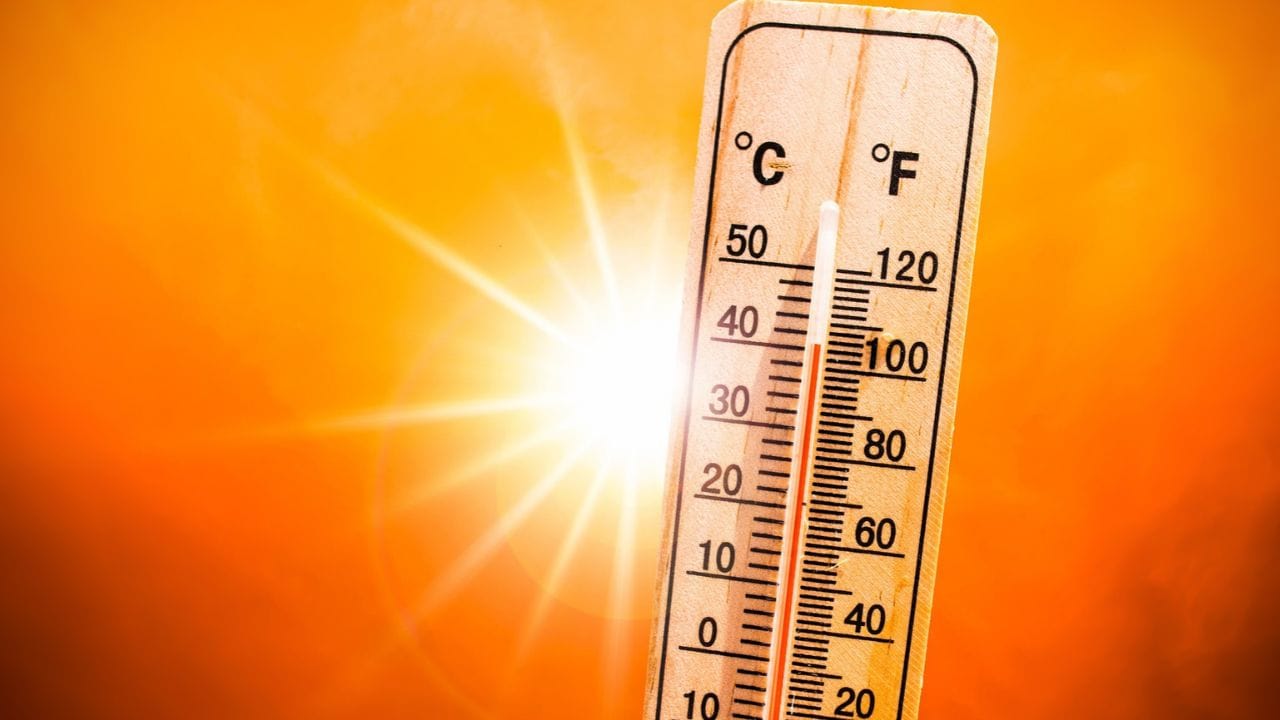 IMD च्या इशाऱ्यानुसार, पुद्दचेरी, तामिळनाडू आणि कराईकल येथे 23 ते 26 रोजी ऑक्टोबर अतिमुसळधार पाऊस होईल. विजांच्या कडकडाटासह पाऊस होईल. अरबी समुद्रातून येणाऱ्या उष्ण वाऱ्यामुळे सायक्लोनिक सर्क्युलेशन वाढेल आणि विचित्र हवामान तयार होईल.
