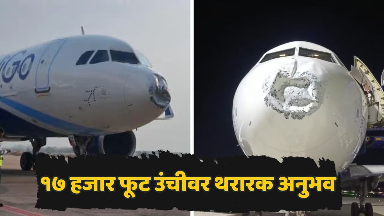 हवेतच इंडिगो विमानावर वीज कोसळली अन्...; १७ हजार फूट उंचीवर घबराट, १०४ प्रवाशांचा थरारक अनुभव हवेतच इंडिगो विमानावर वीज कोसळली अन्...; १७ हजार फूट उंचीवर घबराट, १०४ प्रवाशांचा थरारक अनुभव