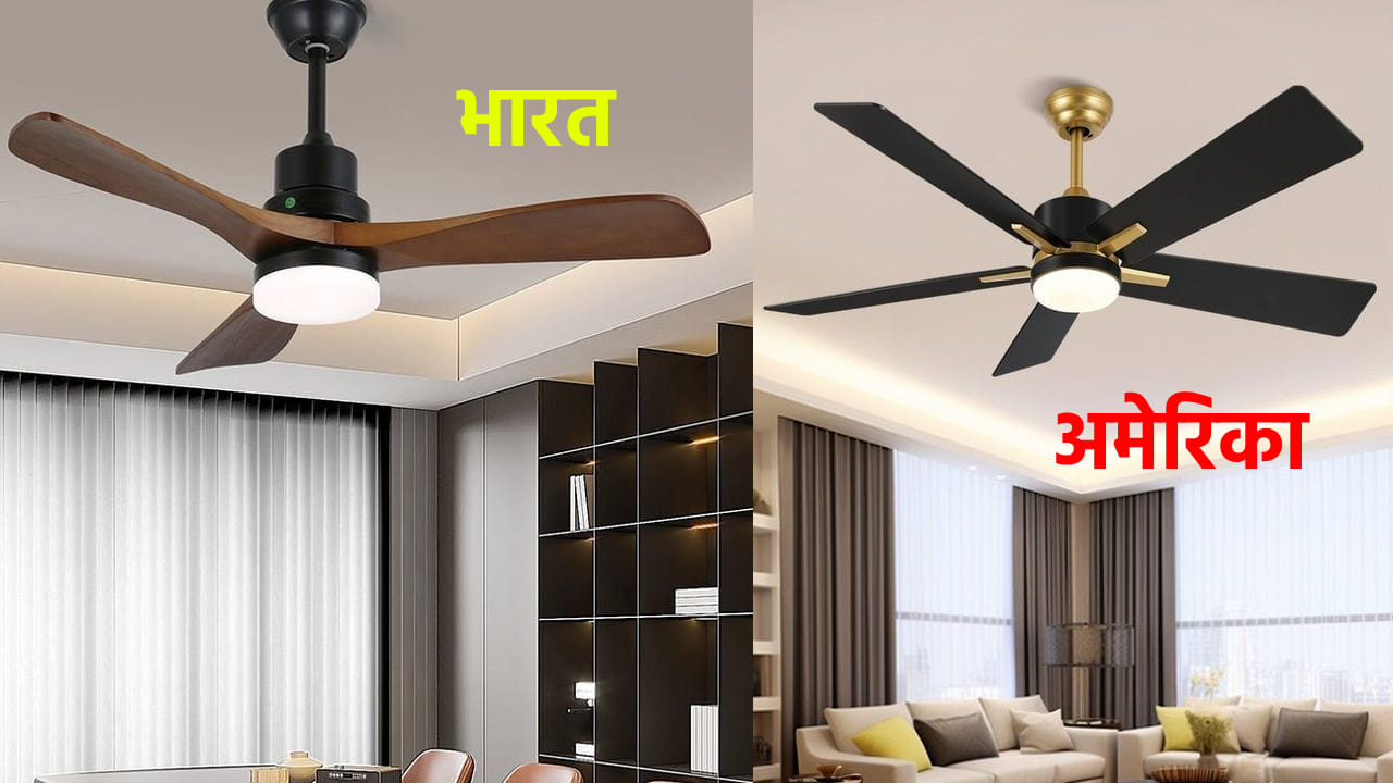 भारतात 3 ब्लेडचे तर अमेरिकेत 5 ब्लेडचे पंखे का वापरले जातात? कारण ऐकूनच म्हणाल... भारतात 3 ब्लेडचे तर अमेरिकेत 5 ब्लेडचे पंखे का वापरले जातात? कारण ऐकूनच म्हणाल...