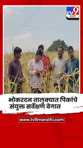 जालना दुष्काळी पंचनामे : भोकरदन तालुक्यात पिकांचे संयुक्त सर्वेक्षण वेगात