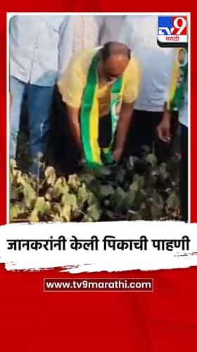जानकरांनी केली पिकाची पाहणी