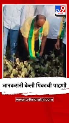 जानकरांनी केली पिकाची पाहणी-1774157