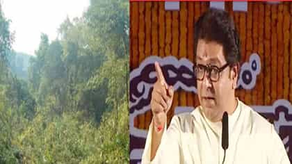 Karjat Forest Tree Cutting : मनसे मैदानात उतरली, थेट राज ठाकरेंनीच कर्जतच्या जंगलाचा विषय हातात घेतला, आता थेट 28 तारखेला..मोठी घोषणा