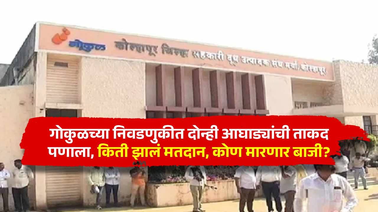 गोकुळच्या निवडणुकीत दोन्ही आघाड्यांची ताकद पणाला, किती झालं मतदान, कोण मारणार बाजी? गोकुळच्या निवडणुकीत दोन्ही आघाड्यांची ताकद पणाला, किती झालं मतदान, कोण मारणार बाजी?
