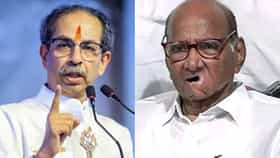 मविआत वातावरण तापलं, उद्धव ठाकरेंचा फोटो वापरू नका, नाहीतर.., ठाकरे गटाच्या बड्या नेत्याचा शरद पवार गटाला थेट मोठा अल्टिमेटम
