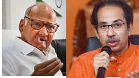 अखेर शरद पवारांनी डाव टाकलाच, शिवसेना ठाकरे गटाला मोठा झटका, काँग्रेसने घेतला मोठा निर्णय