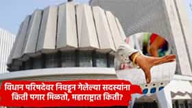 विधान परिषदेवर निवडून गेलेल्या सदस्यांना किती पगार मिळतो, कोणत्या राज्यात दिले जाते सर्वाधिक मानधन? जाणून घ्या