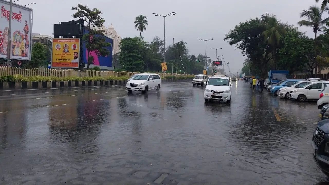 19 ऑक्टोबर रोजी रायगड, रत्नागिरी, सिंधुदुर्ग, कोल्हापूर, सातारा, पुणे, सांगली, सोलापूर, बीड, धाराशिव, लातूर, नागपूर आणि गडचिरोली जिल्ह्यांत पावसाची शक्यता आहे. या जिल्ह्यांमध्ये विजांच्या कडकडाटासह सोसाट्याचे वारे वाहण्याचा अंदाज असून हवामान विभागाने यलो अलर्ट दिला आहे. अहिल्यानगर, परभणी, हिंगोली आणि नांदेड जिल्ह्यांतही काही ठिकाणी हलका ते मध्यम पाऊस पडू शकतो.