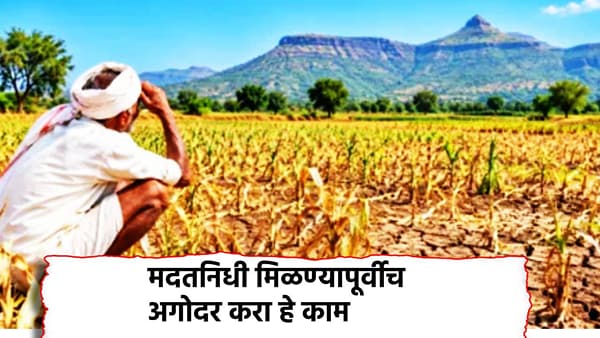शेतकर्यांना दिवाळीपूर्वीच मिळणार 5000 रुपये, पण अगोदर आजच करा हे काम