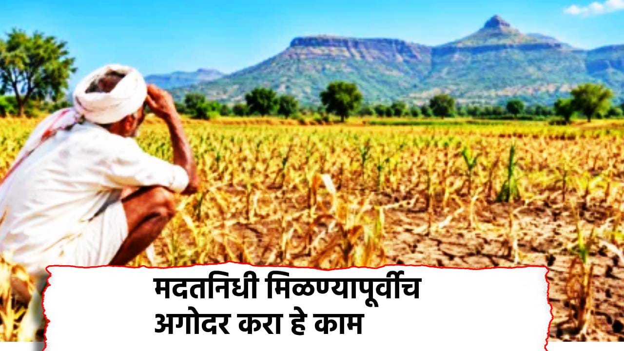 शेतकर्यांना दिवाळीपूर्वीच मिळणार 5000 रुपये, पण अगोदर आजच करा हे काम शेतकर्यांना दिवाळीपूर्वीच मिळणार 5000 रुपये, पण अगोदर आजच करा हे काम