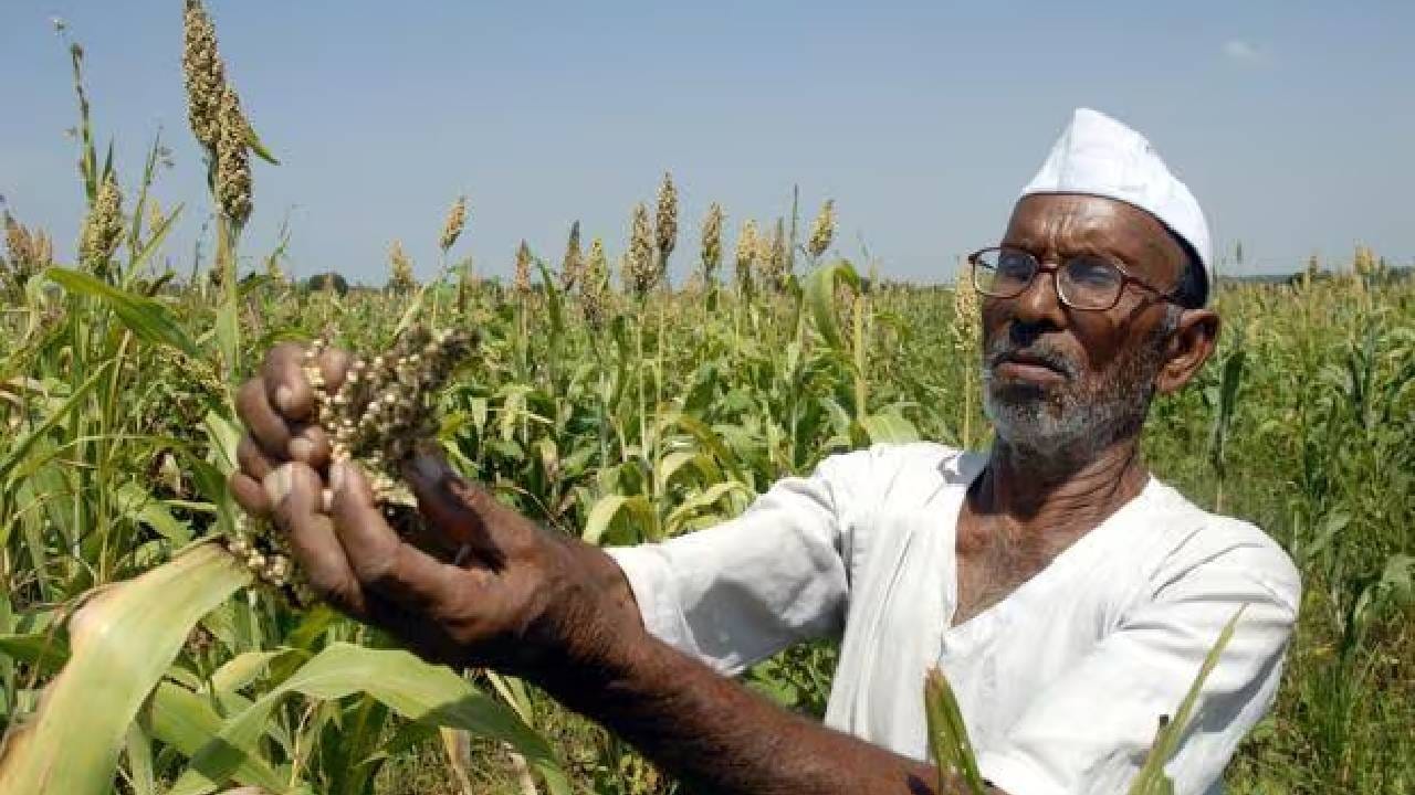 राज्य सरकारचा निर्णयांचा धडाका, शेतकऱ्यांना आणखी एक दिलासा; बावनकुळेंनी दिली मोठी अपडेट राज्य सरकारचा निर्णयांचा धडाका, शेतकऱ्यांना आणखी एक दिलासा; बावनकुळेंनी दिली मोठी अपडेट