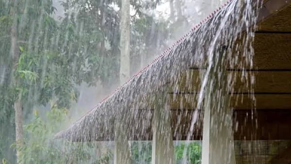 Maharashtra Rain Alert : चक्रीवादाळाच्या तांडवानंतर महाराष्ट्रात अलर्ट, येत्या दोन दिवसात राज्यात धो धो पाऊस