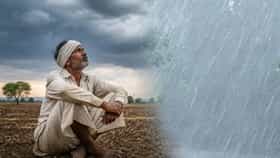 ऑगस्टपासून दडी दिलेला पाऊस 18 ऑक्टोबरपासून परतणार पण तरीही 'या'मुळे शेतकरी चिंतेत