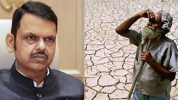 मुख्यमंत्र्यांचा एक क्रांतिकारी निर्णय, किती कोटी शेतकऱ्यांना मिळणार लाभ? किती कोटींची तरतूद? जाणून घ्या डिटेल्स
