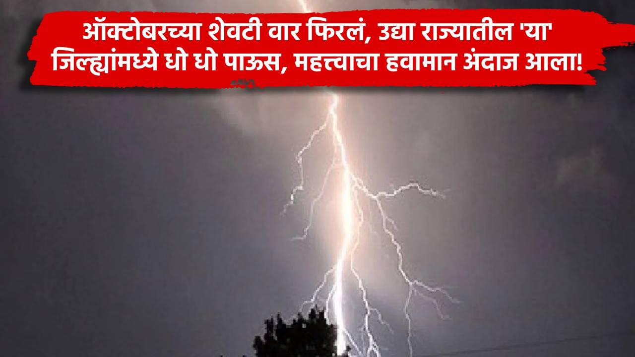 Maharashtra Rain Update : ऑक्टोबरच्या शेवटी वारं फिरलं, उद्या राज्यातील 'या' जिल्ह्यांमध्ये धो धो पाऊस, महत्त्वाचा हवामान अंदाज आला! Maharashtra Rain Update : ऑक्टोबरच्या शेवटी वारं फिरलं, उद्या राज्यातील 'या' जिल्ह्यांमध्ये धो धो पाऊस, महत्त्वाचा हवामान अंदाज आला!