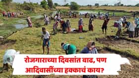 ग्रामीण रोजगार योजनेत मोठा बदल! वर्षाला 100 नव्हे, आता 125 दिवस रोजगाराची हमी; पण आदिवासी कुटुंबांचं काय?