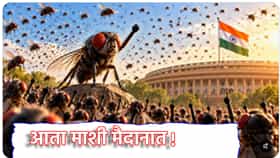 Makkhi Janta Party: माशी मारण्यासाठी हातोडा कशाला? सरन्यायाधीशांच्या टिप्पणीनंतर 'मख्खी जनता पार्टी'ची स्थापना, सोशल मीडियावर मीम्सचा पाऊस