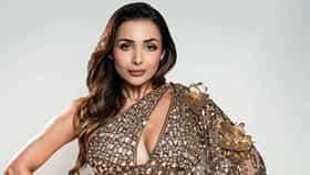 Malaika Arora : बॉलिवूडमध्ये सक्रिय नाही, तरीही कोट्यवधींची मालकीण, मलायका कशी कमावते कोट्यवधींचा माया