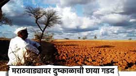 Dry Drought : जलसाठे आटले, पाण्याचा प्रश्न भीषण, भर हिवाळ्यात वैशाख वणवा, मराठवाड्यावर दुष्काळाची गडद छाया, सरकारी पंचनाम्यांना मुहूर्त केव्हा?