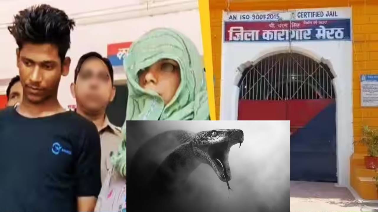 निळ्या ड्रमनंतर आता सापाची दहशत! रविता-अमरदीपचे काळे कांड उघड, नेमकं काय घडलं? निळ्या ड्रमनंतर आता सापाची दहशत! रविता-अमरदीपचे काळे कांड उघड, नेमकं काय घडलं?
