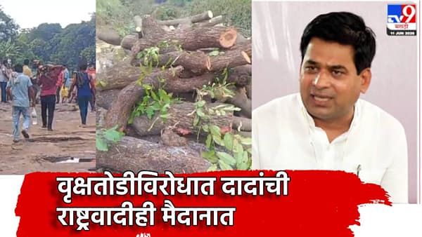 कर्जतमध्ये झाडं तोडण्याऐवजी तुम्ही मराठवाड्यात...राष्ट्रवादीच्या सूरज चव्हाणांनी सुचवला बेस्ट पर्याय