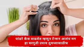 Hair Care Tips : केसांमध्ये पांढरे केस वाढत आहेत? घरच्या घरी बनवा ही नैसर्गिक हेअर डाई, केस दिसतील काळेभोर