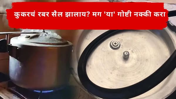 Kitchen Tips : कुकरचा रबर सैल झालाय? झाकणातून वाफ बाहेर येतेय ? हे घरगुती उपाय करून पाहा
