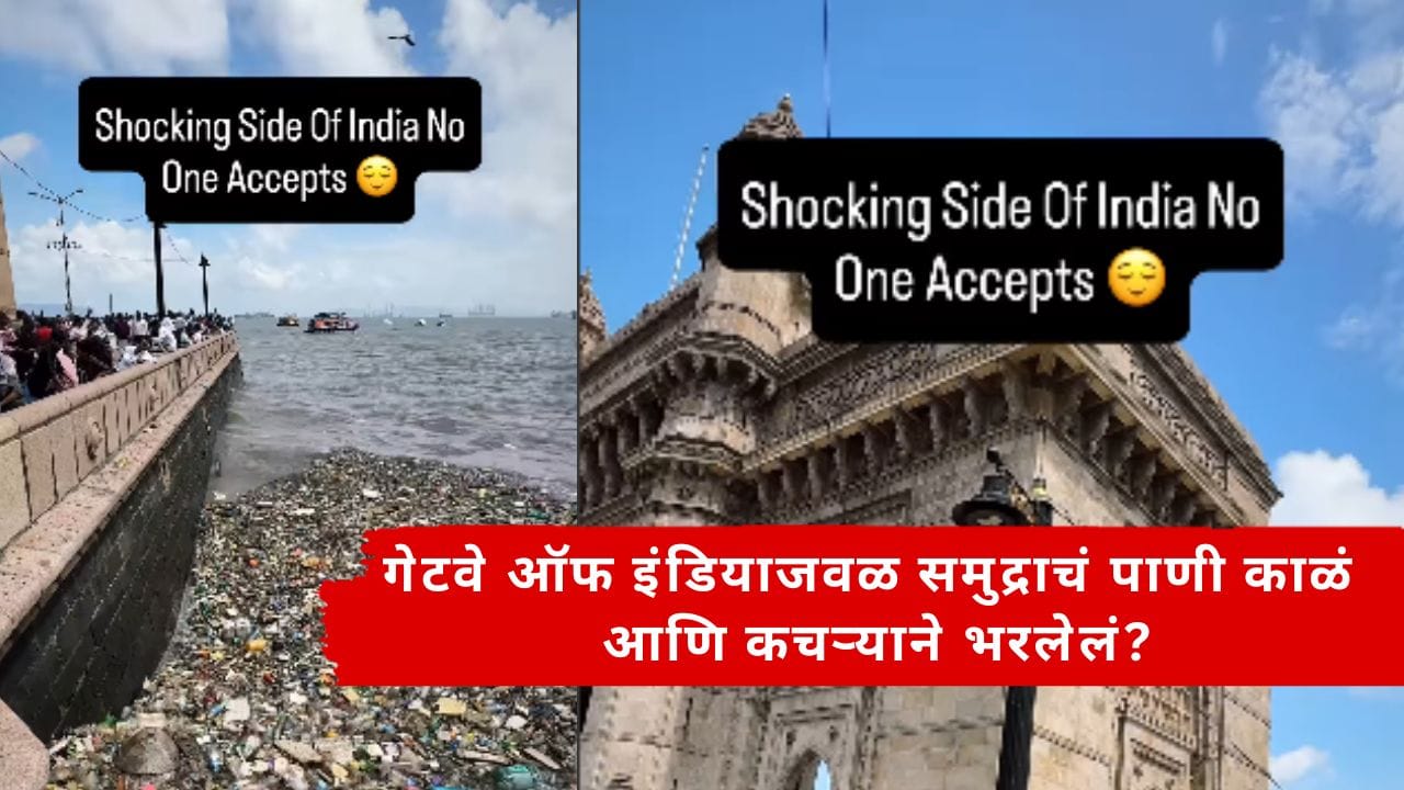 Viral Video : मुंबईच्या गेटवे ऑफ इंडियाजवळ समुद्रात कचऱ्याचा ढीग? Viral Video ने उडवली खळबळ Viral Video : मुंबईच्या गेटवे ऑफ इंडियाजवळ समुद्रात कचऱ्याचा ढीग? Viral Video ने उडवली खळबळ