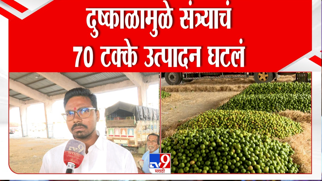 दुष्काळाची झळ! नागपूरचं संत्रा मार्केट ओस पडलं, 70 टक्के उत्पादन घटलं...