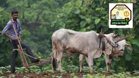 Namo Shetkari Yojana: 92 लाख शेतकरी 4 हजारांच्या प्रतीक्षेत, नमो योजनेचे दोन हप्ते कधी जमा होणार? अपडेट काय?