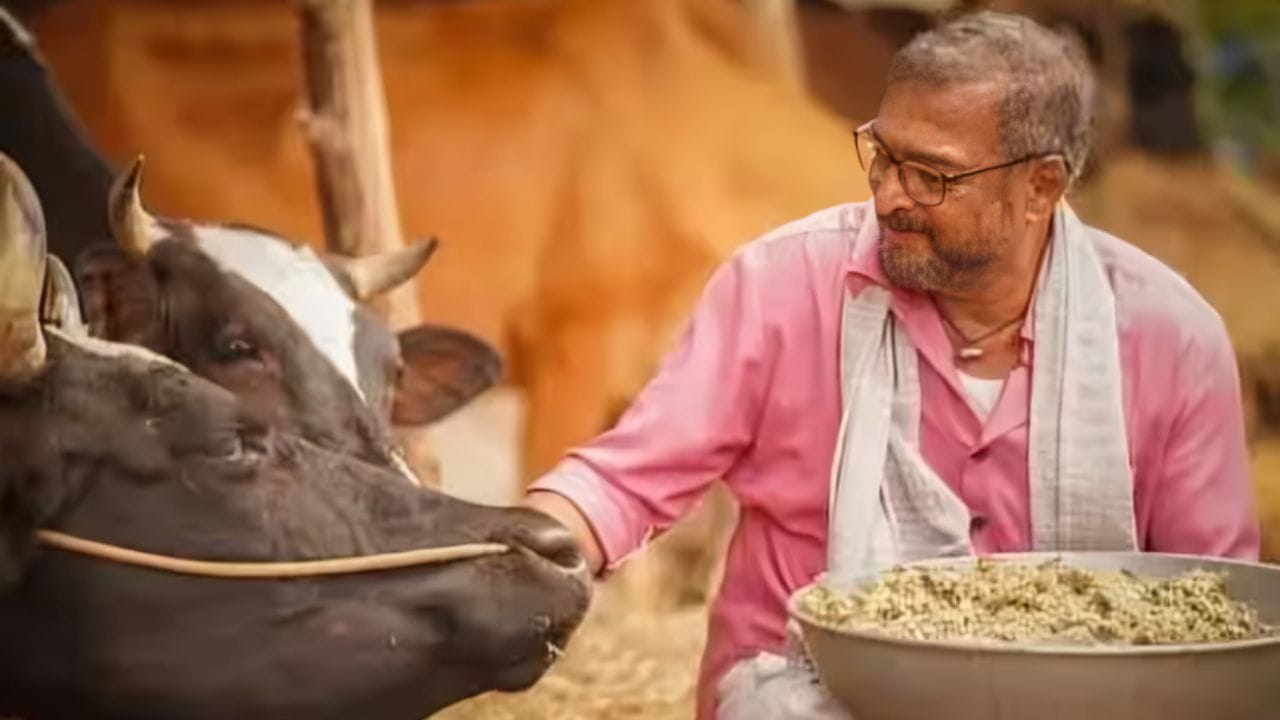 फार्महाऊसमध्ये गोठा असून नाना पाटेकर यांचं प्राणीप्रेमही या ठिकाणी पाहायला मिळतं. शेती, प्राणी आणि निसर्गाशी जोडलेलं त्यांचं जीवन या वाडीत अनुभवायला मिळत होतं.