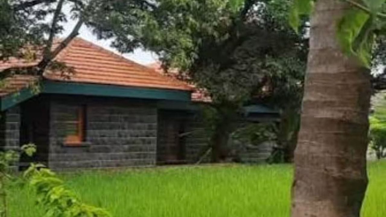 फार्महाऊसवर शेतीसोबतच गायी आणि म्हशीही होत्या. मोठा स्टार असूनही नानांनी ग्रामीण जीवनाशी असलेली नाळ कधीच तुटू दिली नाही.