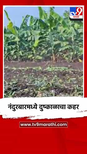 नंदुरबारमध्ये दुष्काळाचा कहर