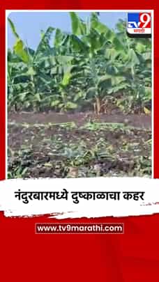 नंदुरबारमध्ये दुष्काळाचा कहर-1780266