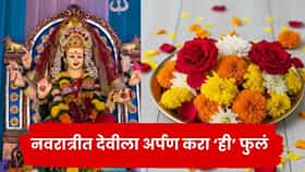 माता शैलपुत्री ते सिद्धिदात्री! नवरात्रीच्या ९ दिवसात कोणत्या देवीला कोणते फूल अर्पण करावे?