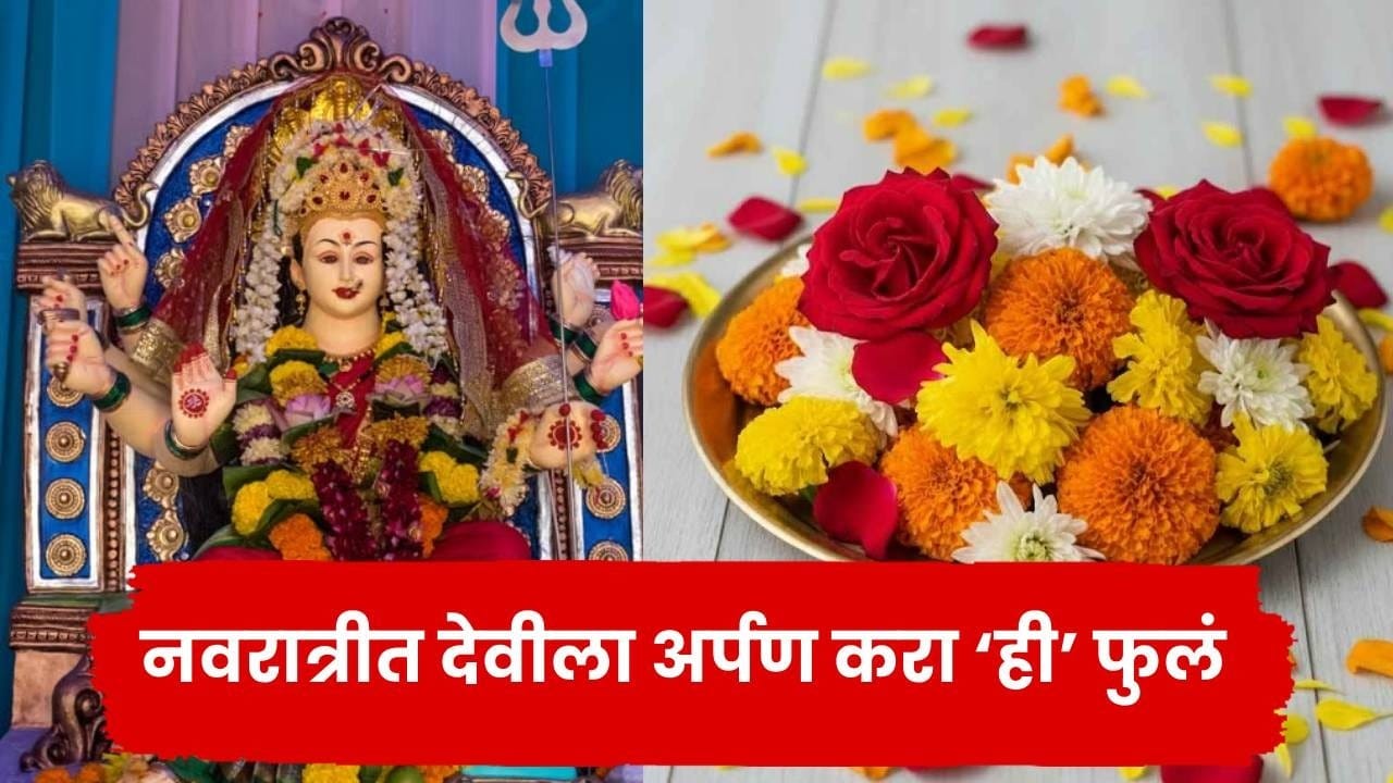 माता शैलपुत्री ते सिद्धिदात्री! नवरात्रीच्या ९ दिवसात कोणत्या देवीला कोणते फूल अर्पण करावे? माता शैलपुत्री ते सिद्धिदात्री! नवरात्रीच्या ९ दिवसात कोणत्या देवीला कोणते फूल अर्पण करावे?