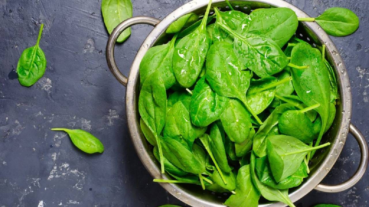 पालक : पालक ही अनेकांच्या रोजच्या आहारातील महत्त्वाची भाजी आहे. डाळ, साग, पराठे आणि इतर पदार्थांमध्ये पालकाचा वापर केला जातो. विशेष म्हणजे, हायड्रोपोनिक तंत्रज्ञानाच्या मदतीने पालकही मातीशिवाय उगवता येतो. गरजेनुसार पालकाची पानं काढता येतात. योग्य काळजी आणि अनुकूल परिस्थिती मिळाल्यास रोपाला पुन्हा नवीन पानं फुटू शकतात. घरच्या घरी ताज्या भाज्या उगवण्याची सुरुवात करायची असेल, तर पालक हा एक सोपा पर्याय ठरू शकतो.