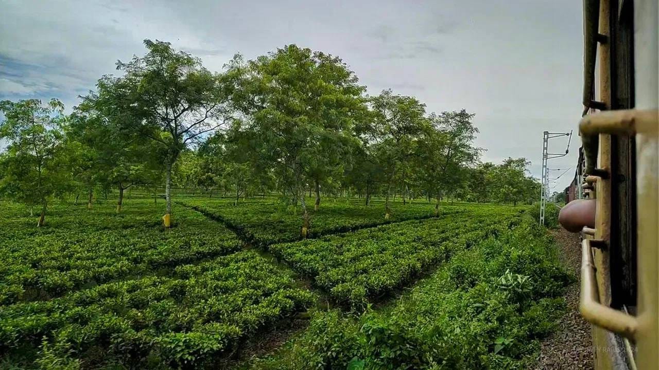 १. आसाममधील चहाचे मळे आणि हिरवीगार निसर्गरम्यता: दिब्रुगढहून प्रवास सुरू झाल्यावर, ईशान्य भारतातील हिरवीगार क्षेत्रे, चहाचे मळे आणि नद्या प्रवाशांना प्रभावित करतात. त्याचप्रमाणे, बंगालचे ग्रामीण सौंदर्यही अनुभवता येते. हिरवीगार शेतं, छोटी शहरं आणि गजबजलेली रेल्वे स्थानकं दिसतात. या प्रवासाचे वैशिष्ट्य म्हणजे प्रत्येक प्रदेशात जीवनशैली बदलते.