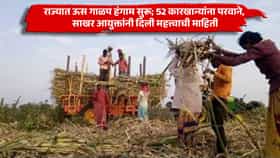 राज्यात ऊस गाळप हंगाम सुरू; 52 कारखान्यांना परवाने, साखर आयुक्तांनी दिली महत्त्वाची माहिती