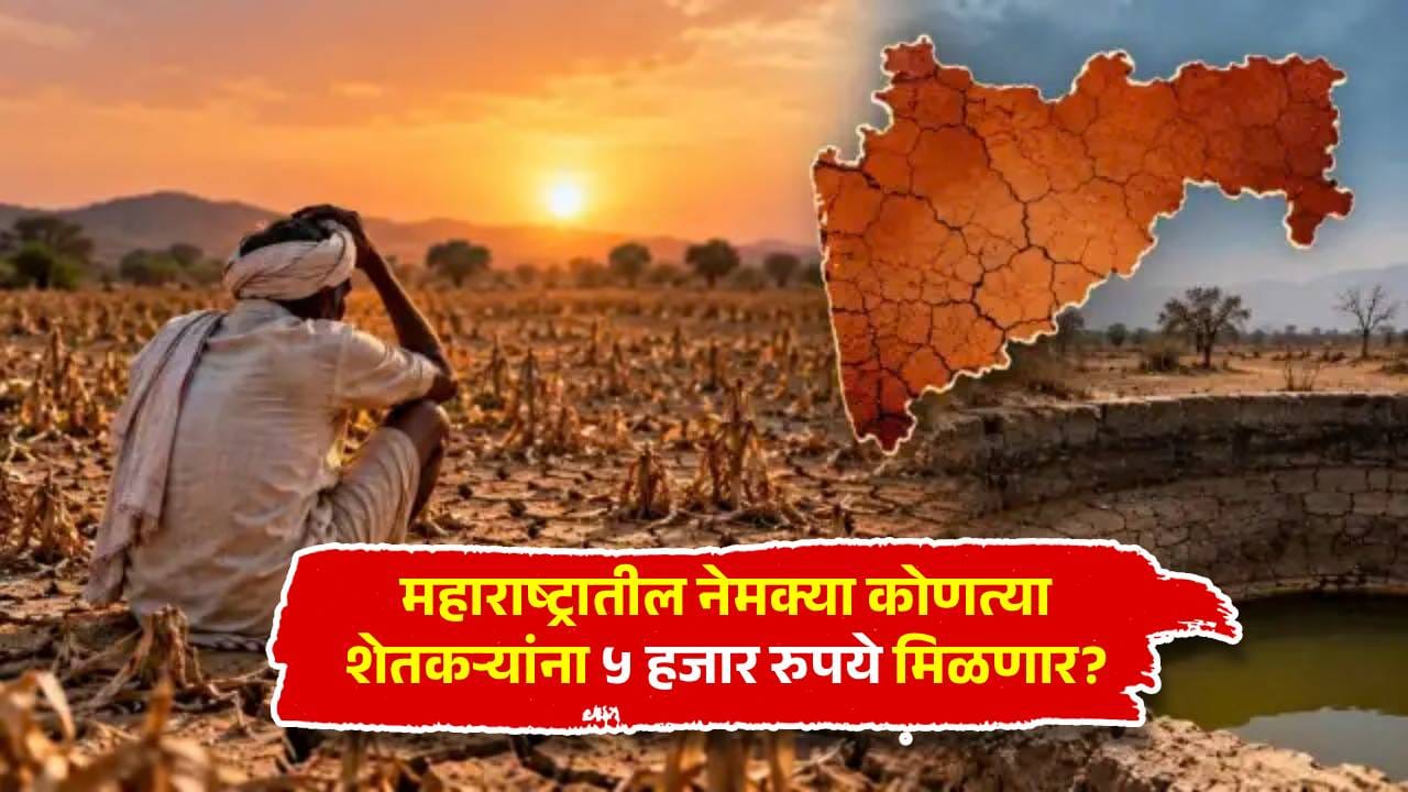 दिवाळीपूर्वी शेतकऱ्यांच्या खात्यात 5 हजार रुपये येणार, पण सर्वांनाच मिळणार नाहीत? पात्रतेच्या अटी समोर! दिवाळीपूर्वी शेतकऱ्यांच्या खात्यात 5 हजार रुपये येणार, पण सर्वांनाच मिळणार नाहीत? पात्रतेच्या अटी समोर!