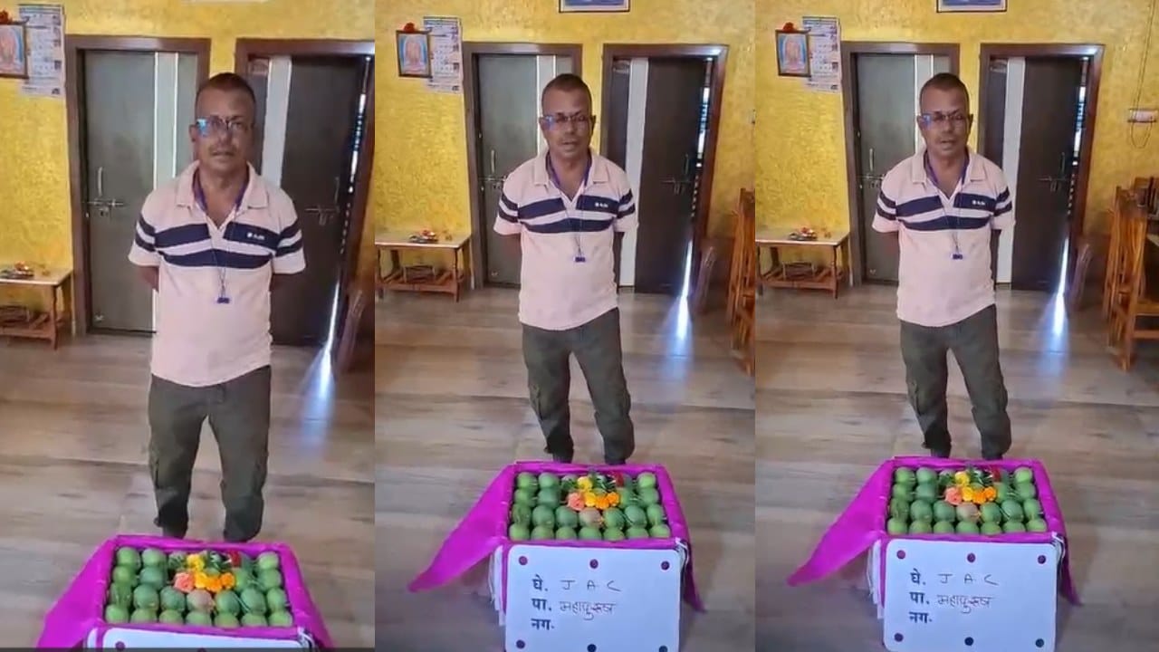 संकष्टीच्या मुहूर्तावर काढलेली ही पेटी शुक्रवारी वाशी मार्केटमध्ये विक्रीसाठी दाखल होणार आहे. विशेष म्हणजे, दिवाळी पाडव्याला आणखी सहा ते सात पेट्या बाजारात पाठवण्याचे नियोजन असून, या हंगामापूर्वीच्या हापूसला किती दर मिळतो,हे पाहणे महत्वाचे असणार आहे.