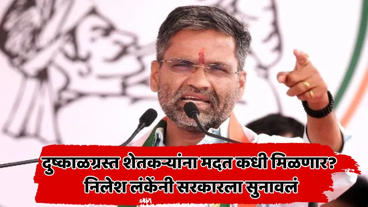 जिल्हा बँकेच्या निवडणुकीवरून नाराजी, दुष्काळी मदतीवरून सरकारला सवाल; निलेश लंके नेमकं काय म्हणाले? जिल्हा बँकेच्या निवडणुकीवरून नाराजी, दुष्काळी मदतीवरून सरकारला सवाल; निलेश लंके नेमकं काय म्हणाले?