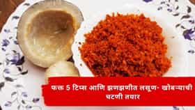फक्त 5 टिप्स अन् झणझणीत लसूण- खोबऱ्याची चटणी; नवरा एकदा खाईल तर खातच राहिल