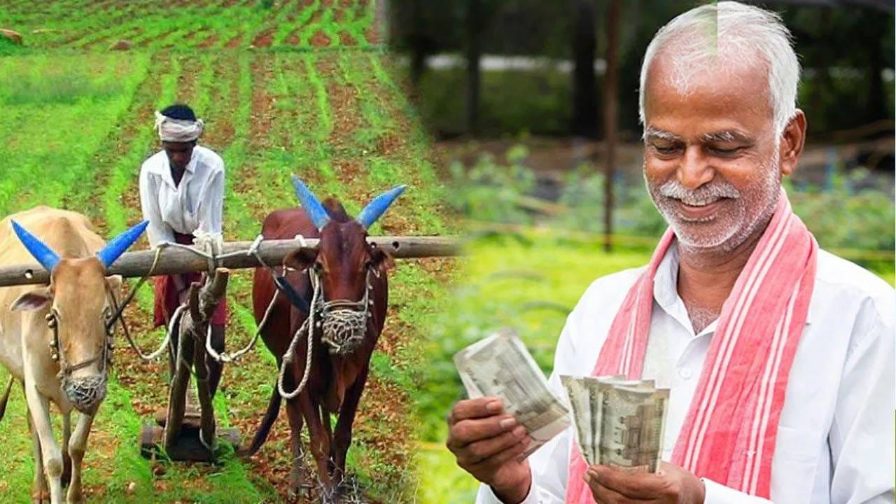 चिंताच मिटली... शेतकऱ्यांना दिवाळीपूर्वीच मिळणार 2000 रुपये? केंद्र सरकारच्या हालचाली सुरू चिंताच मिटली... शेतकऱ्यांना दिवाळीपूर्वीच मिळणार 2000 रुपये? केंद्र सरकारच्या हालचाली सुरू