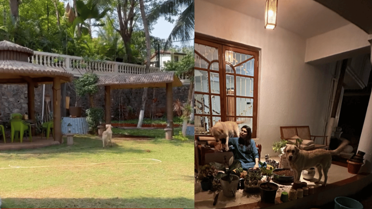 घराभोवती झाडे, रोपे आणि मोकळी जागा आहे. आंबा आणि फणसाची झाडे या परिसराला खास बनवतात. त्यामुळे घरात प्रसन्न वातावरण जाणवते.