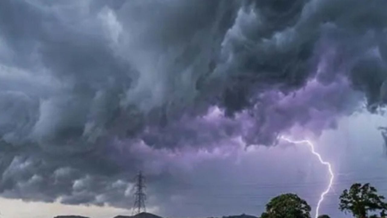 सोलापूर, कोल्हापूर, पुणे, धाराशिव, सांगली या जिल्ह्यात पावसाचा येलो अलर्ट हवामान विभागाने जारी केला. राज्यात कोरडा दुष्काळ हवामान विभागाने जारी केला. त्यातच पुन्हा वारे फिरल्याचे बघायला मिळतंय.
